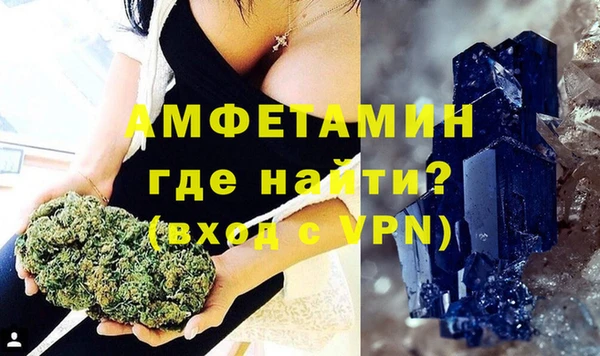 шишки Магас