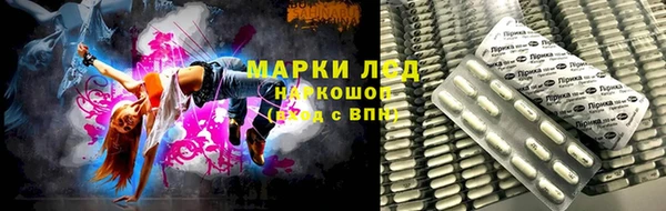 индика Лиски