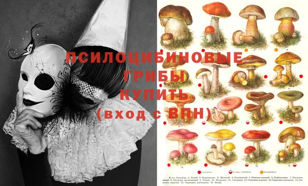 экстази Лихославль